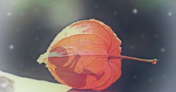 宝宝喝蔬菜汁大便变绿正常吗？